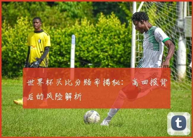 世界杯买比分赔率揭秘：高回报背后的风险解析