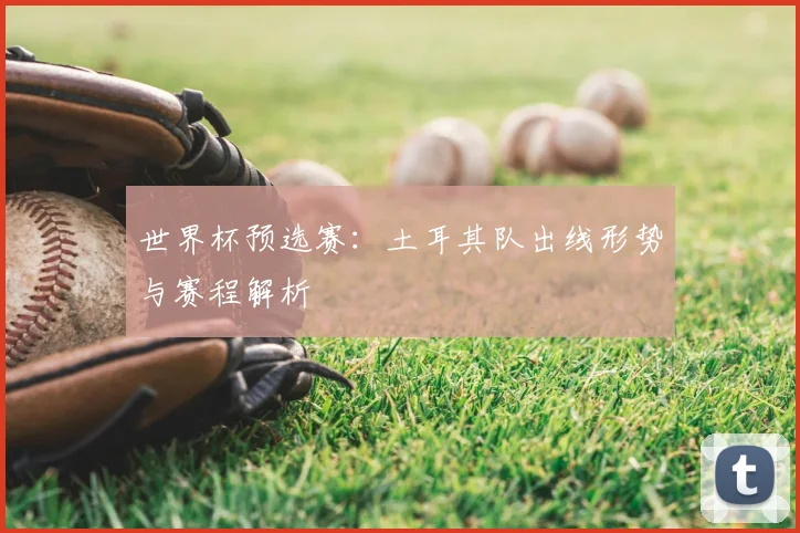 世界杯预选赛:土耳其队出线形势与赛程解析