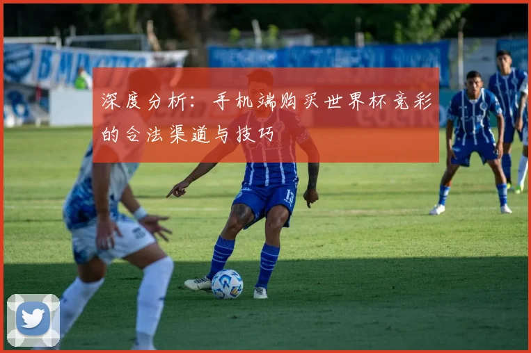 深度分析：手机端购买世界杯竞彩的合法渠道与技巧