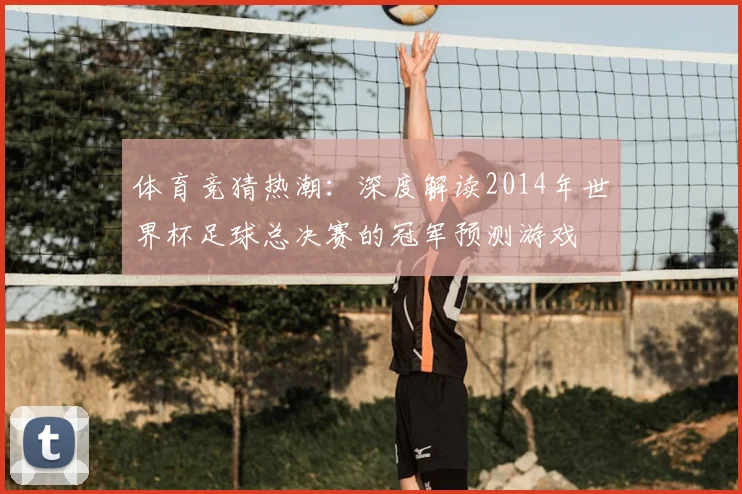 体育竞猜热潮：深度解读2014年世界杯足球总决赛的冠军预测游戏