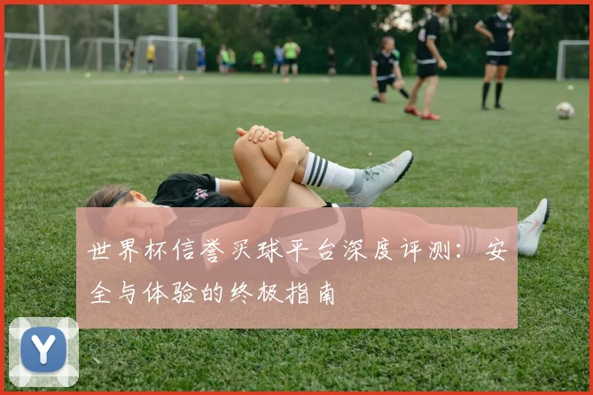 世界杯信誉买球平台深度评测：安全与体验的终极指南