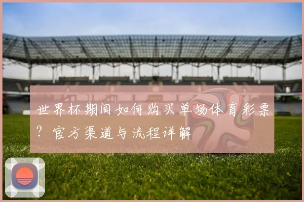 世界杯期间如何购买单场体育彩票？官方渠道与流程详解