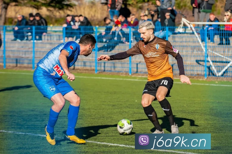 九游网页版平台生态图